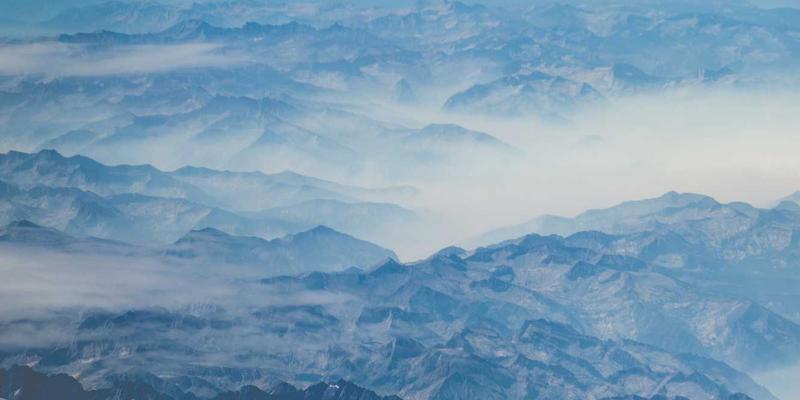 从剩饭到狗粮：山东农村养宠现状调研，看家犬管理的困境与机遇