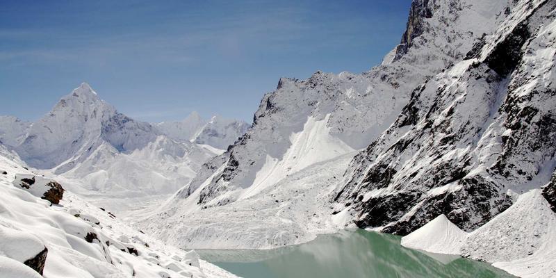 山东宠物托运全攻略：航空与陆运注意事项，附必备用品清单