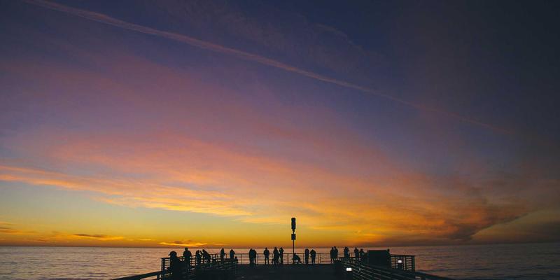 山东宠物用品批发市场全攻略：济南与临沂两大货源基地深度解析