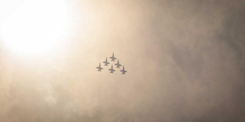 山东宠物领养全攻略：从领养中心地址到必备用品（宠物食品、猫砂选购指南）